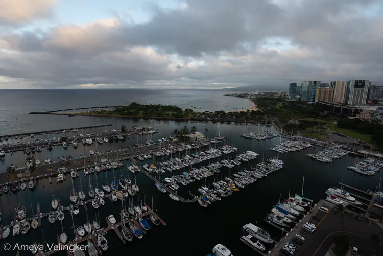 DSC_8724.jpg